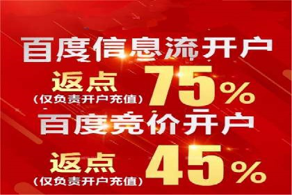 成功托管SEM竞价，实现品牌快速曝光